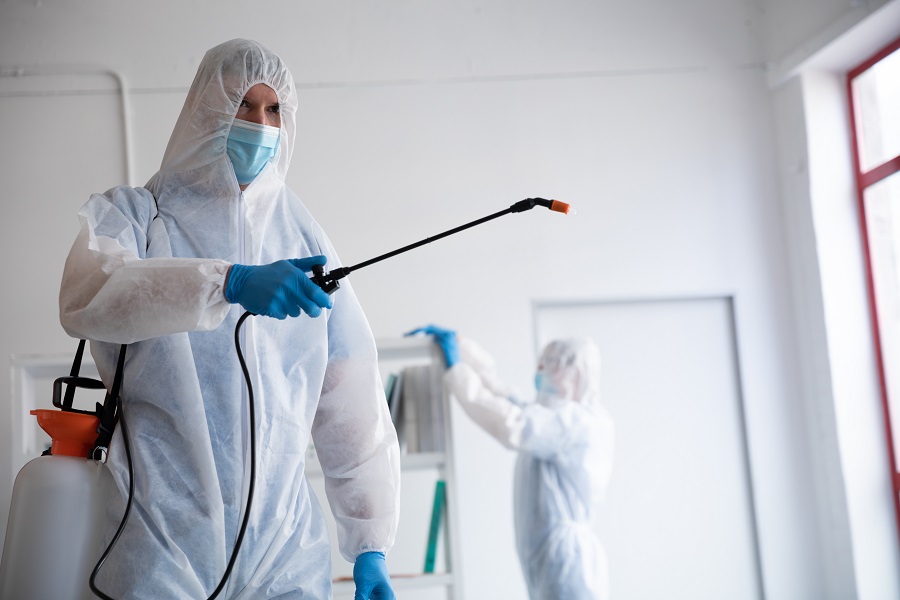 Trusted Insights From Hawx Pest Control Reviews